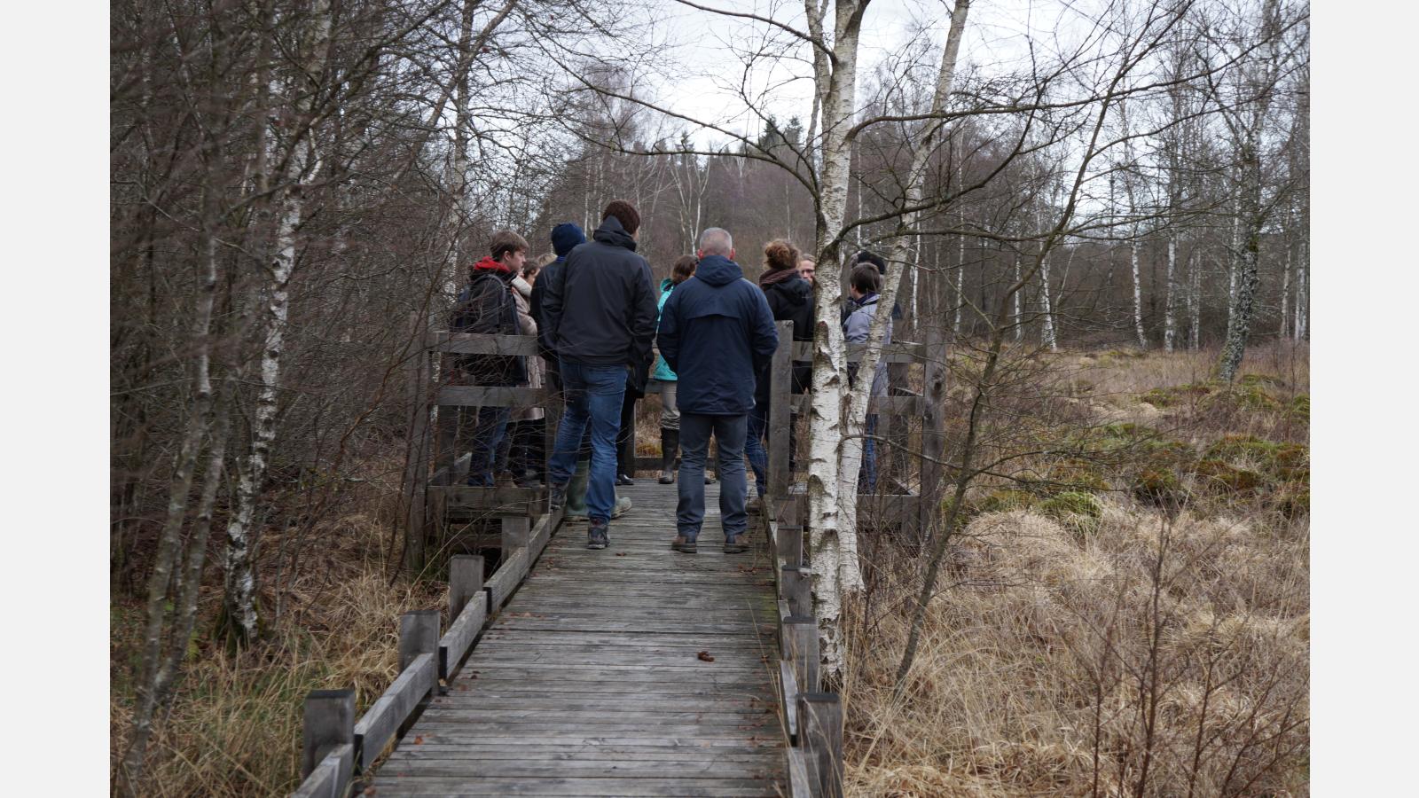 Visite du site de Montour de la RNR des Tourbières du Morvan