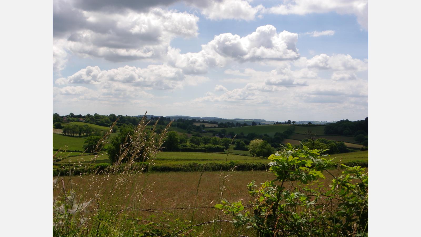 Le bocage dans le Sud Morvan, Camille Guet