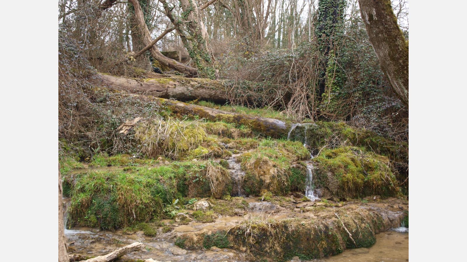 Sources tuffeuses de Fontenay-près-Vézelay, Justine Duret