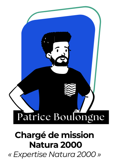 Patrice Boulongne