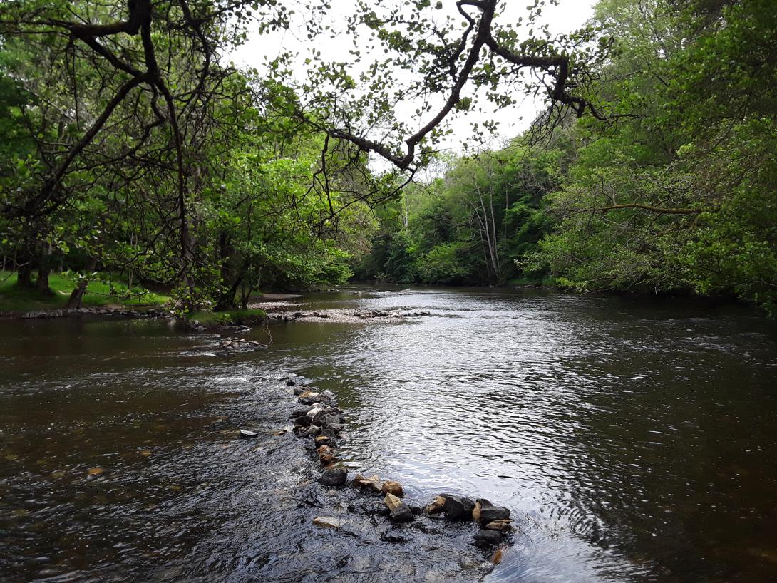 La Cure au Pont du Ternos, PnrM (Pierre-Perthuis)